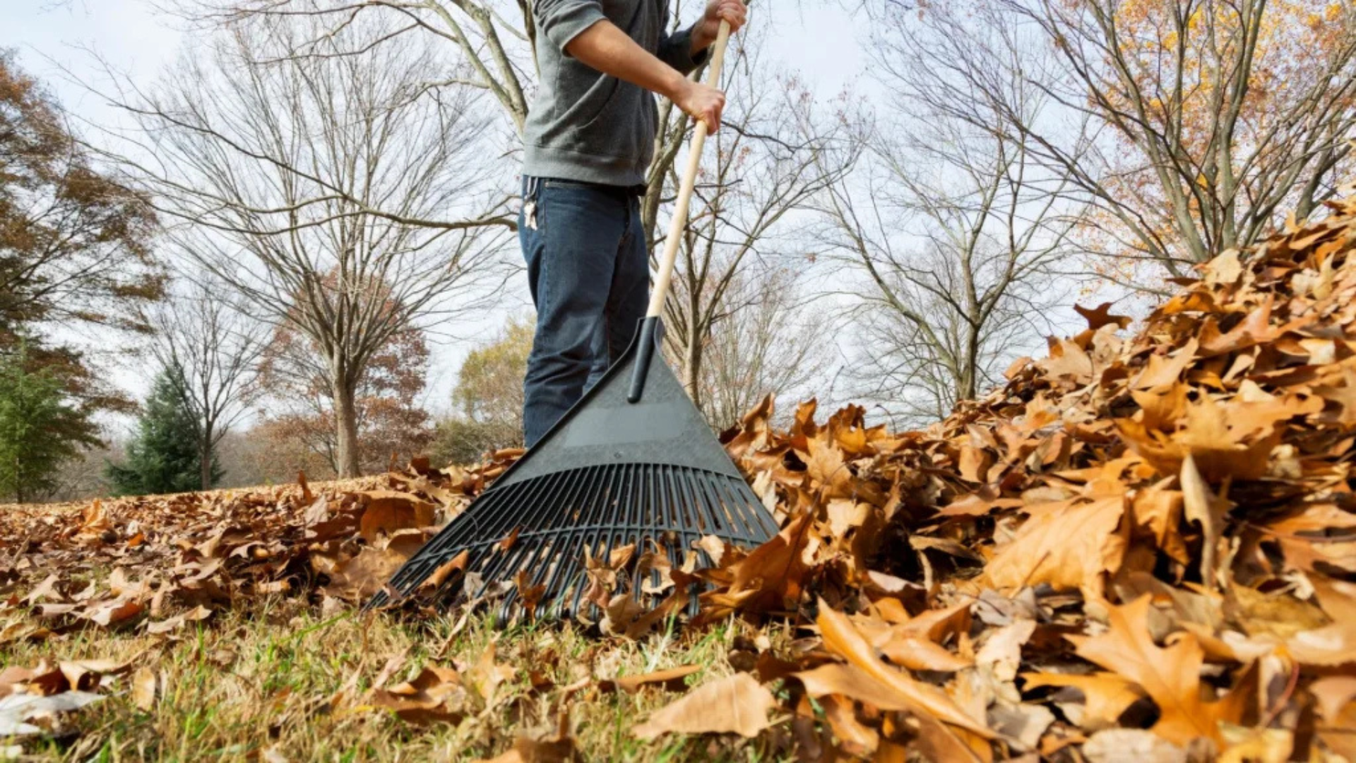 Winterize Your Outdoor Space for Future Enjoyment | Modern Shed