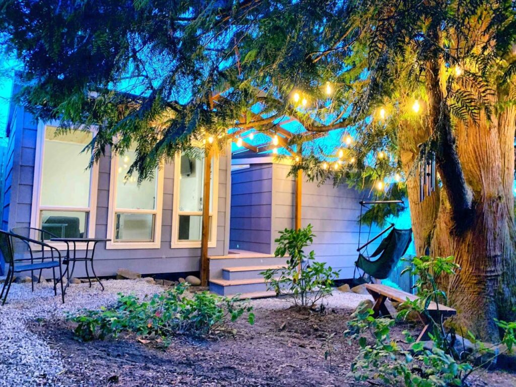 Under the Cedar Tree