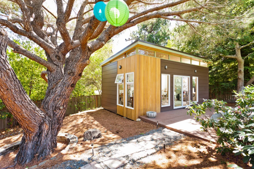 Modern backyard shed with wood siding under large tree