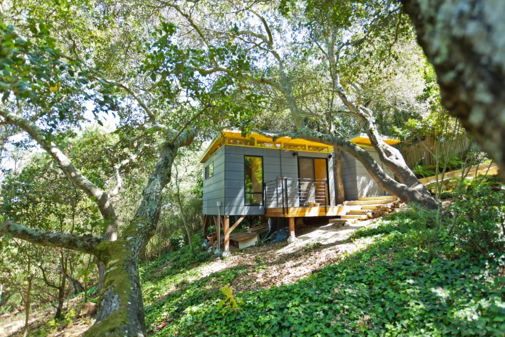 Contemporary hillside shed with deck and surrounding trees