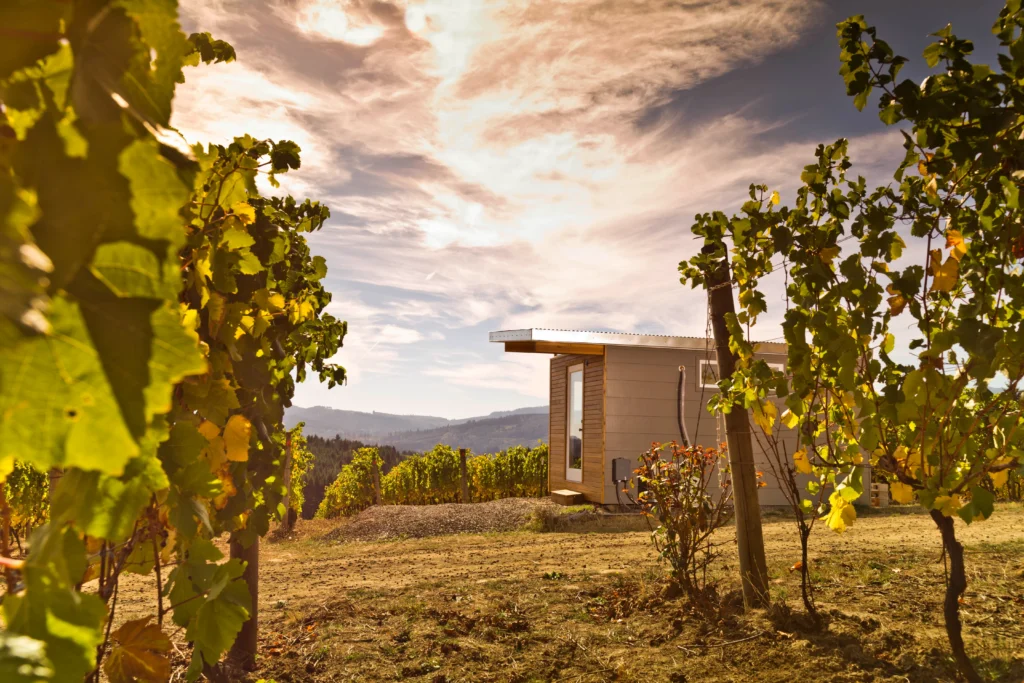Modern vineyard shed with scenic mountain view at sunset